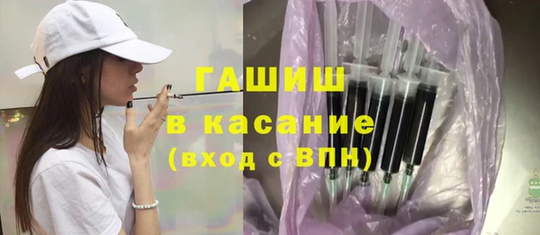 индика Костерёво