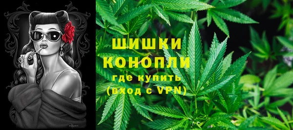 стаф Архангельск