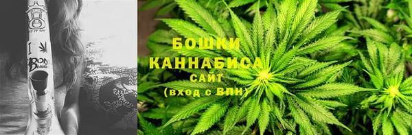 индика Костерёво