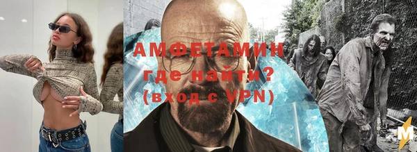 индика Костерёво